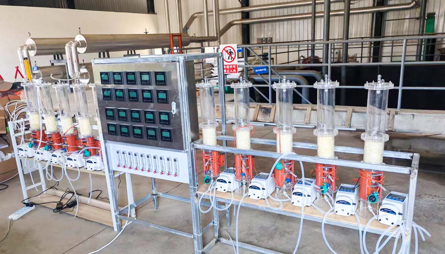 Case Studies | Longer Pump Mini Series Peristaltic Pump – The Ideal Choice for Biogas Desulfurizatio